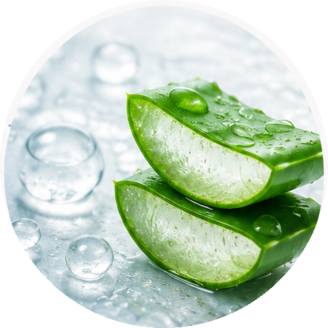 Hyaluronic Acid + Aloe Vera